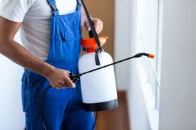 Real Estate Pest Inspections in Medina, TX